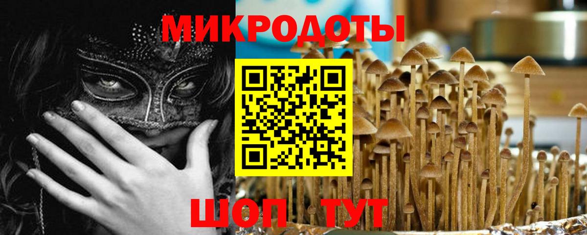 Галлюциногенные грибы MAGIC MUSHROOMS  Псилоцибиновые грибы Magic Shrooms  Брянск  Вход с VPN 